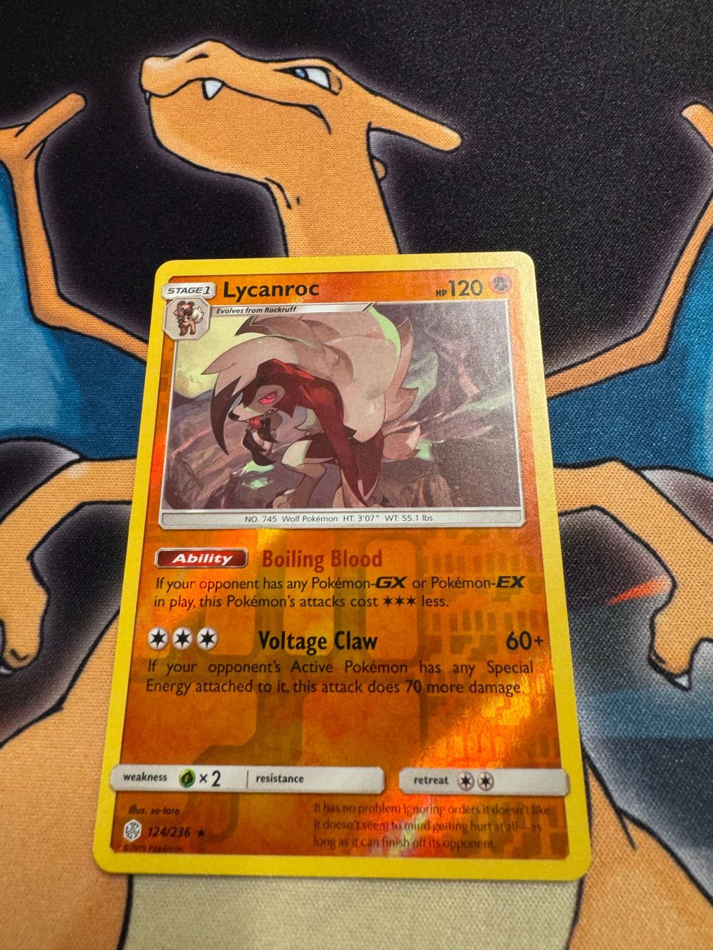 Pokémon Cartes à collectionner: Lycanroc (CEC 124) - Reverse Holo - Cosmic Eclipse – Neuf (Voir description) à Bülach par Pfrenzel