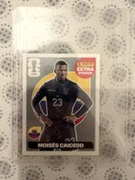 Panini Sticker Moises Caicedo 