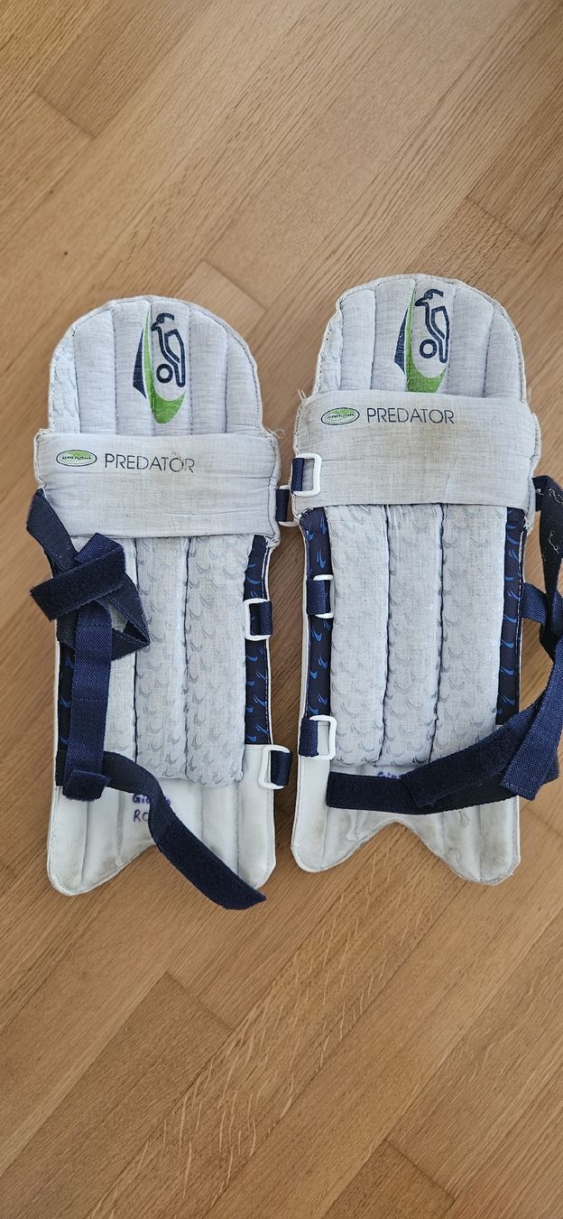 Giocattoli: Cricket Kids Accessories – Usato da Reinach BL venduto da thec0llect0r 5