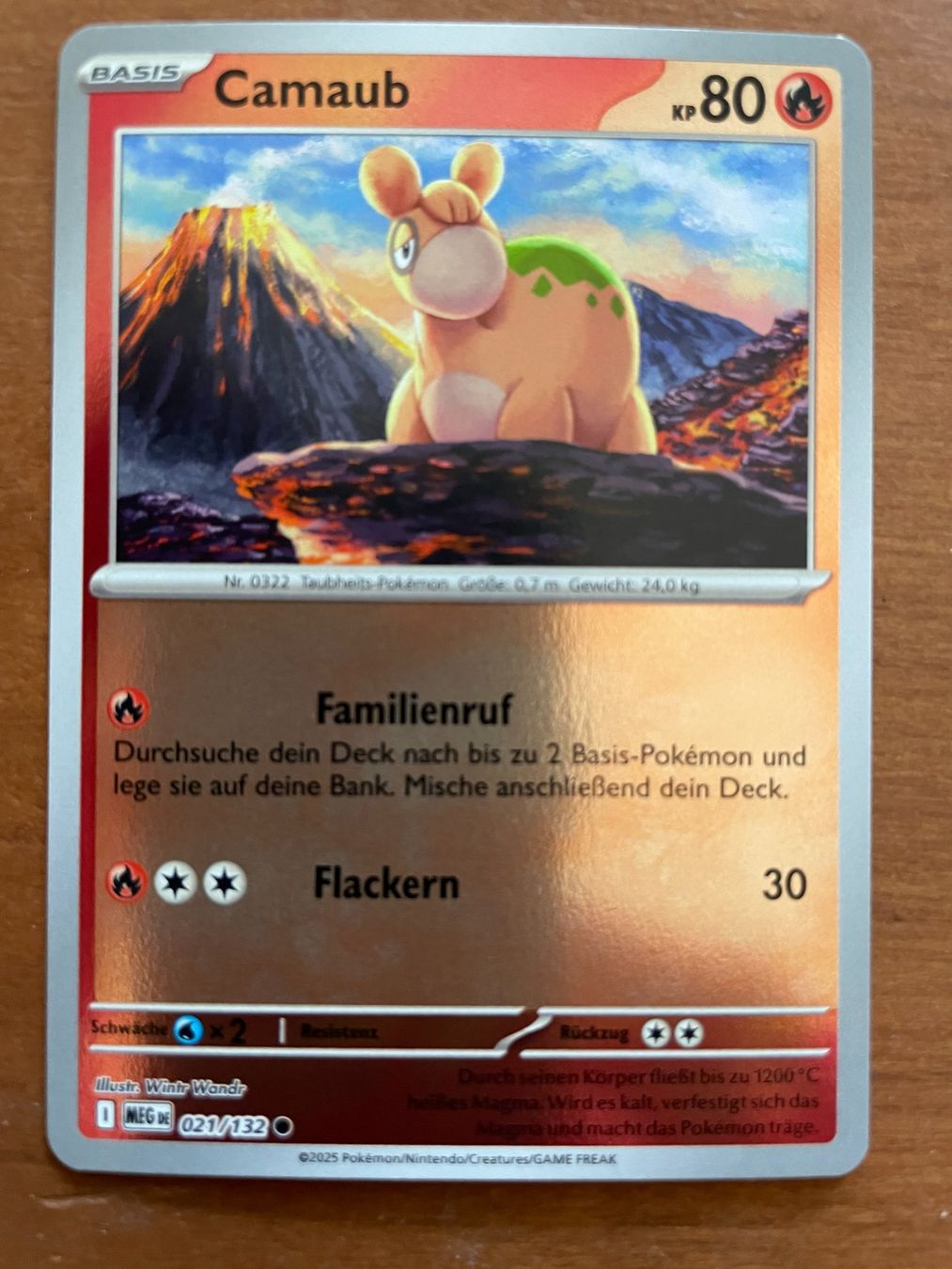 Pokémon Carte collezionabili: Pokemon Camaub Reverse (Versand gratis) – Nuovo (secondo la descrizione) da Chur venduto da Angerson
