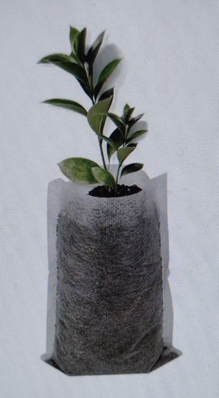 Growbox Altro: Anzuchtsäckchen / Growbags – Nuovo e nell'imballaggio originale da Zürich venduto da amysmith