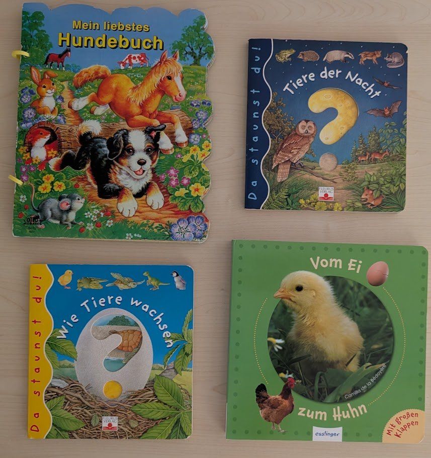 Libri: Diverse Kinderbücher – Usato da Münchringen venduto da NUSA2010