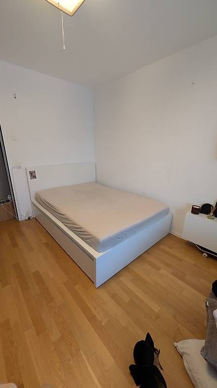 Letti: Ikea Bett Malm – Usato da Bischofszell venduto da sirrobi84 1