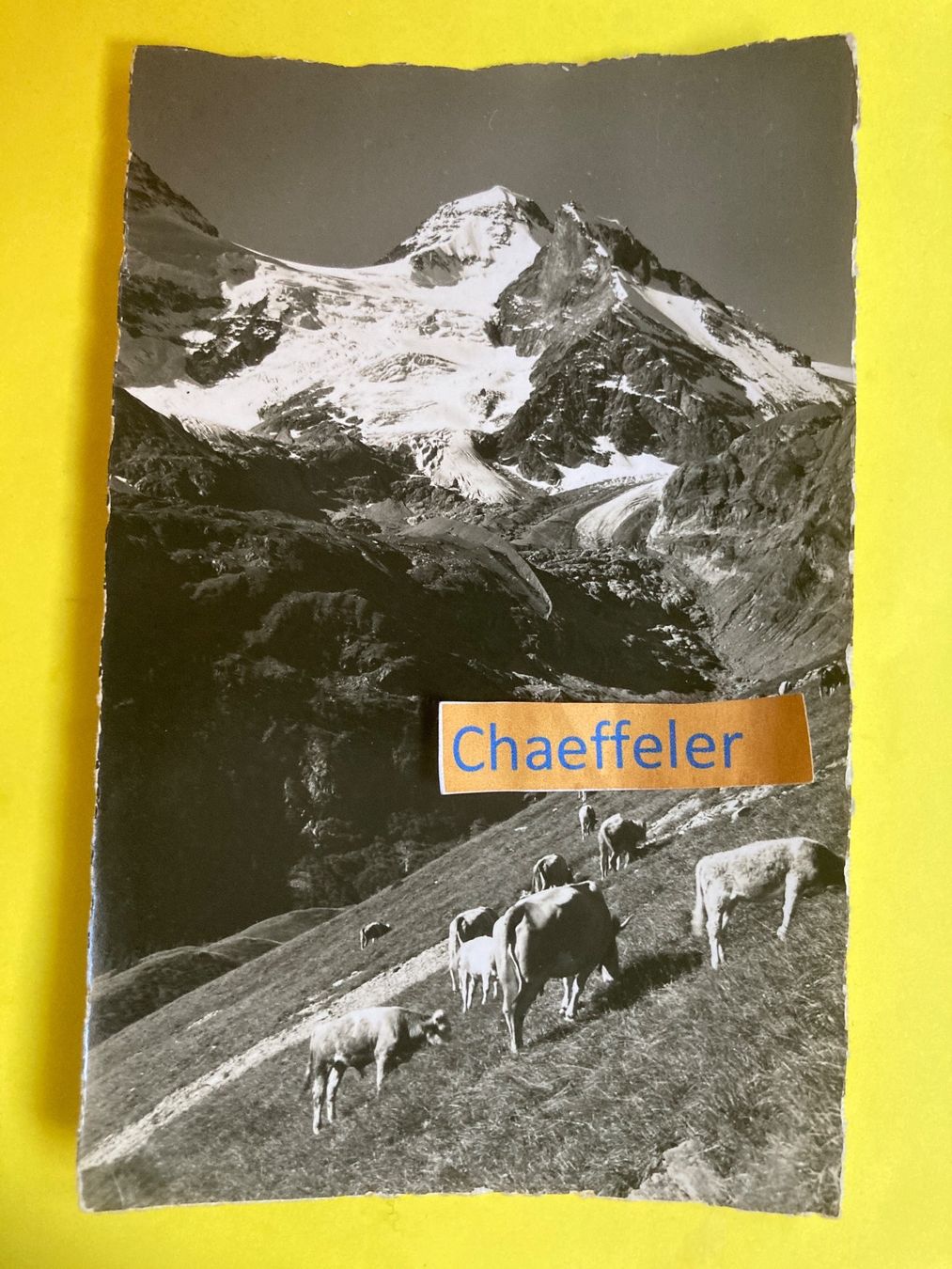 Cartoline postali: 1944 7096 Obersteinberg, Tschingelhorn – Usato da Zürich venduto da Chaeffeler