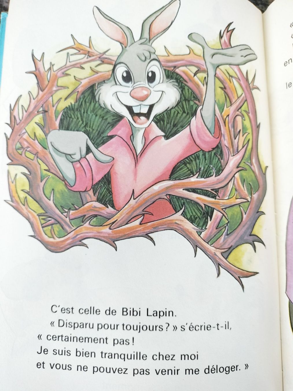 Libri: Bibi Lapin Et Ses Amis Disney (Studio) – Usato da Cortaillod venduto da rozinna 9