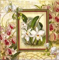 2 Servietten   Orchideen  weiss auf lila