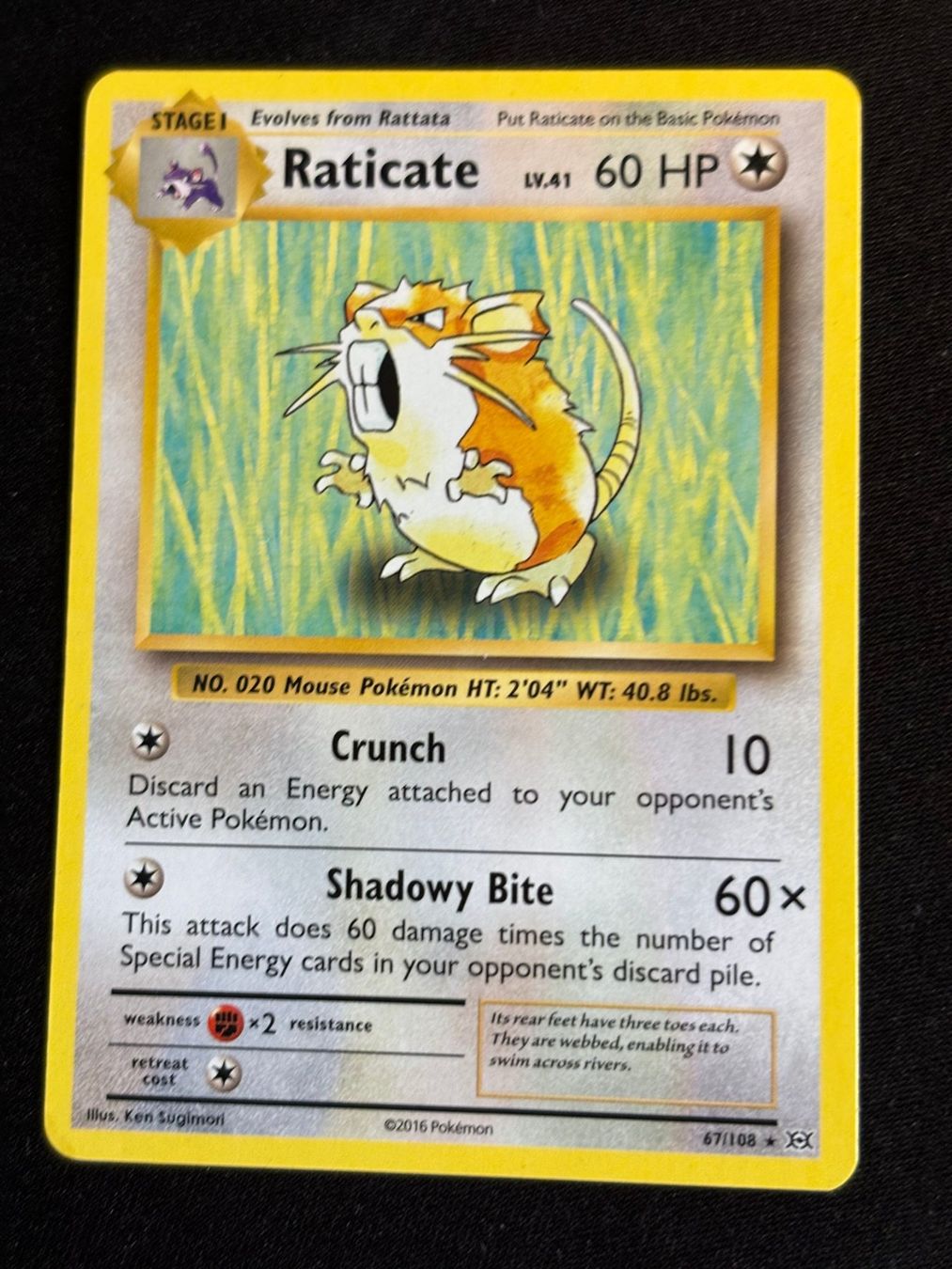 Pokémon Carte collezionabili: Pokemon Raticate - Evolutions 67/108 - English – Usato da Bern venduto da Big_GS