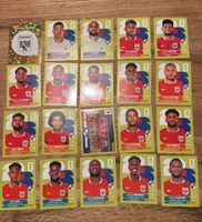 WM Paninibilder PANAMA Vollständig