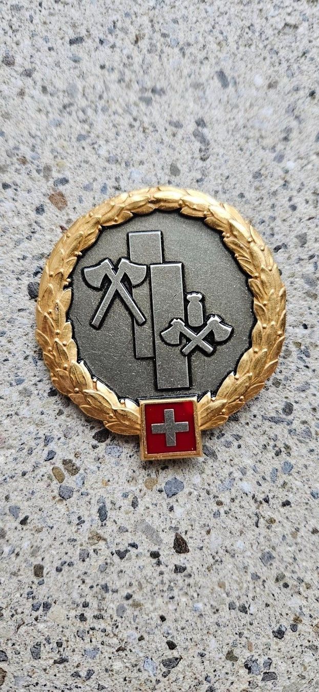 Schweizer Armee Placchette & Badge: *** Beretemblem Gold Offizier Schweizer Armee *** – Nuovo e nell'imballaggio originale da Riedholz venduto da fr_sIruP