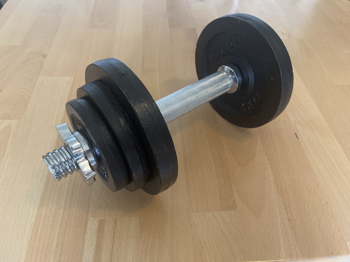 Hanteln & Gewichte: V3tec Kurzhantel Set – Gebraucht aus Zürich von kon_25hd