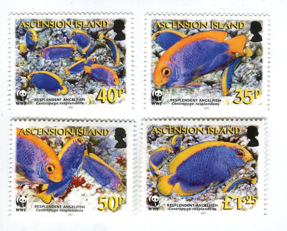 Alle Briefmarken: Briefmarken "Fische". Ascension. – Neu und originalverpackt aus Basel von Butsch5