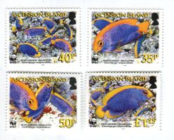 Briefmarken "Fische". Ascension.