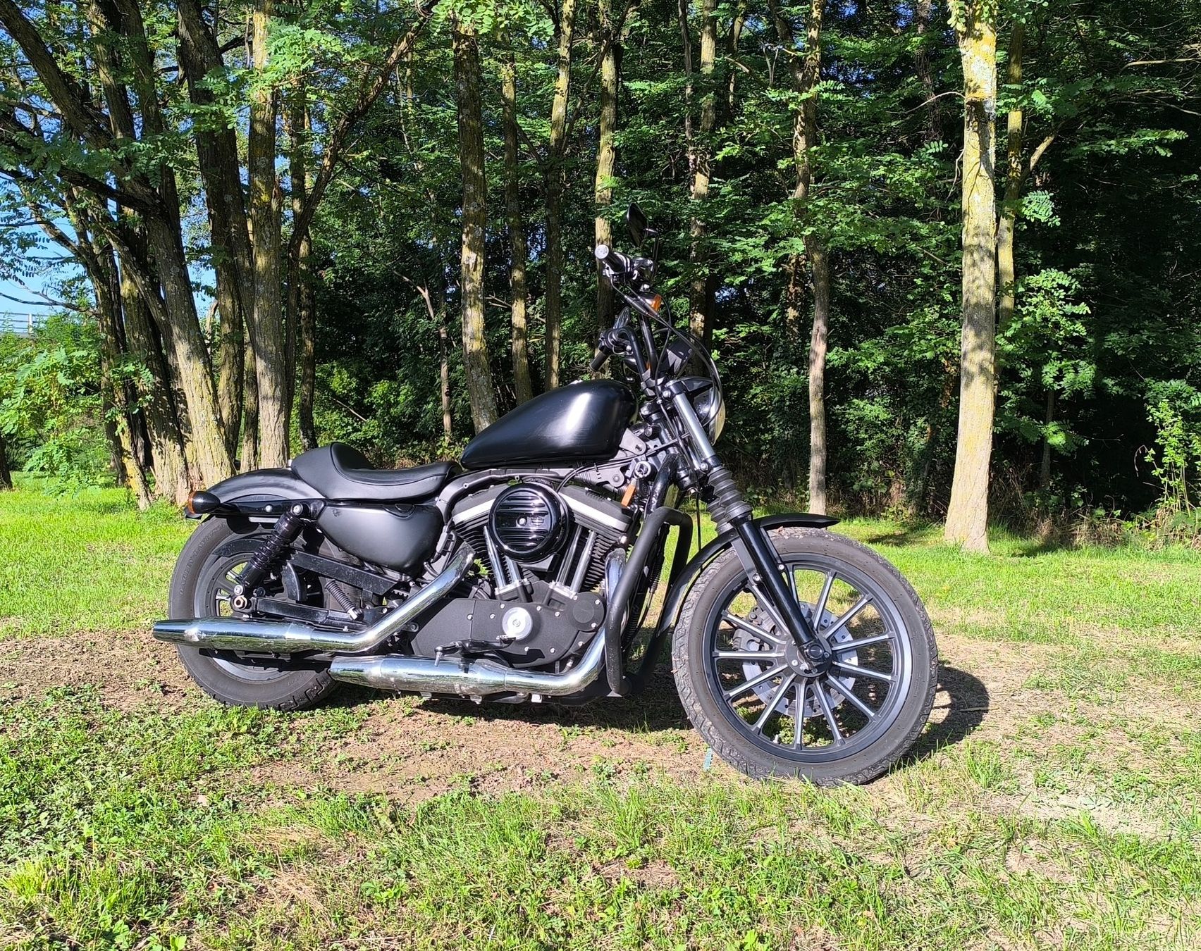 Harley-Davidson Altro: Harley Davidson Iron 883 – Usato da La Croix-de-Rozon venduto da oli_b9tk