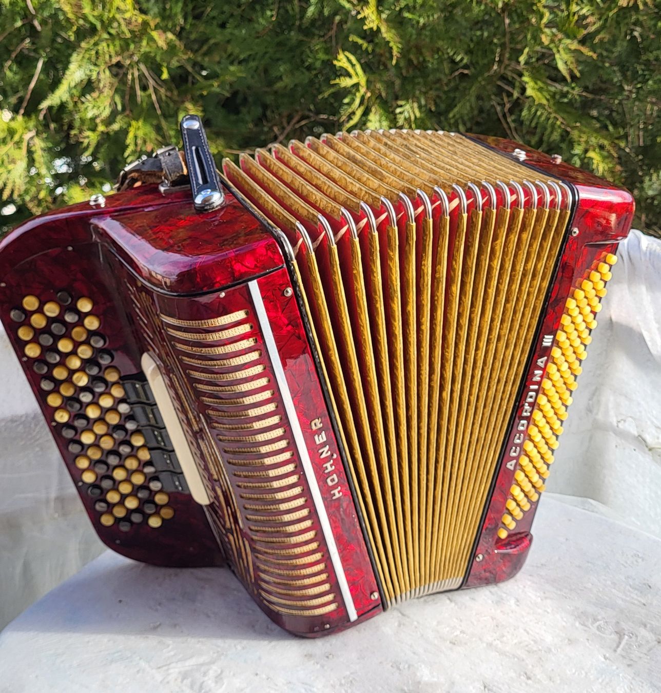 Hohner Musikinstrumente: Accordéon hohner Accordina III – Gebraucht aus Penthalaz von EvandroLuz 2