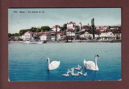 NYON depuis le lac - Cygnes - 1912