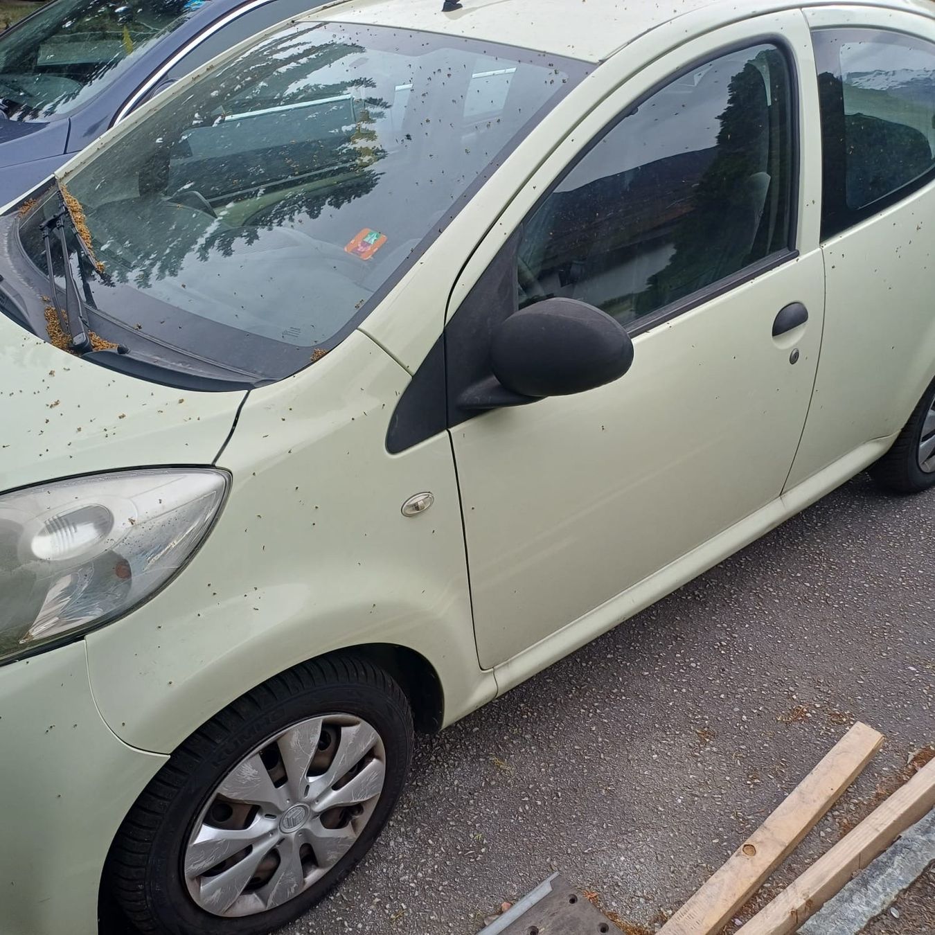 Citroën Autos: Citroen C1, 2010, super mécanique – Gebraucht aus Renens VD von sba_5ssb 1