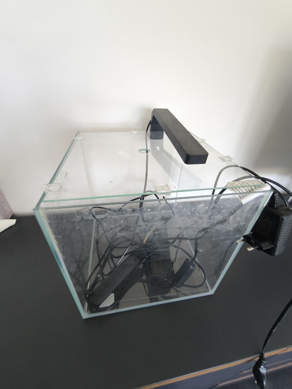 Aquarium: Aquarium 22l  – Gebraucht aus Frenkendorf von m.eigenmann 2