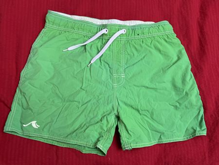 FSBN Herren Badeshorts Gr. L grün 💚