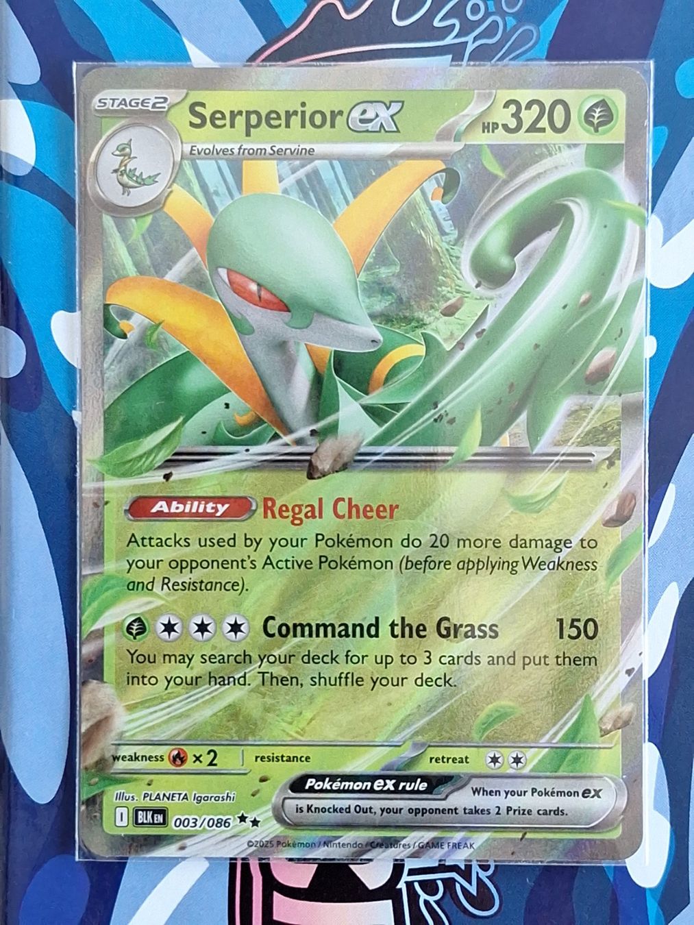Pokémon Carte collezionabili: Serperior ex - #14 – Usato da Altstätten SG venduto da GGsGameshop