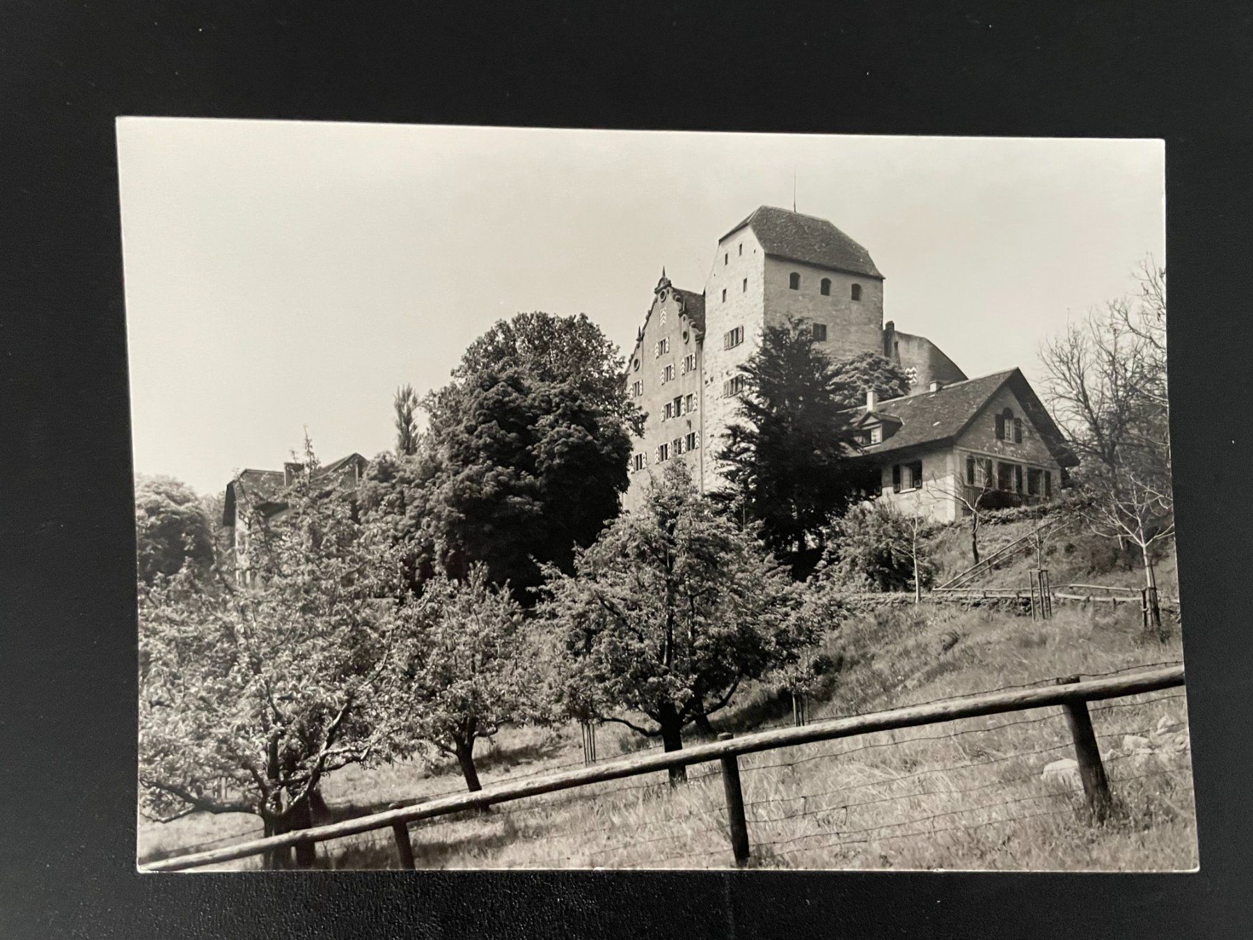 Cartoline postali: AK AG Schloss Wildegg, Bergfried und Palas – Usato da Thal venduto da Danny82