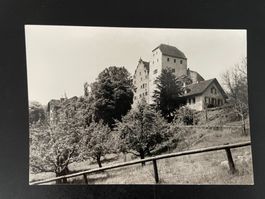 AK AG Schloss Wildegg, Bergfried und Palas