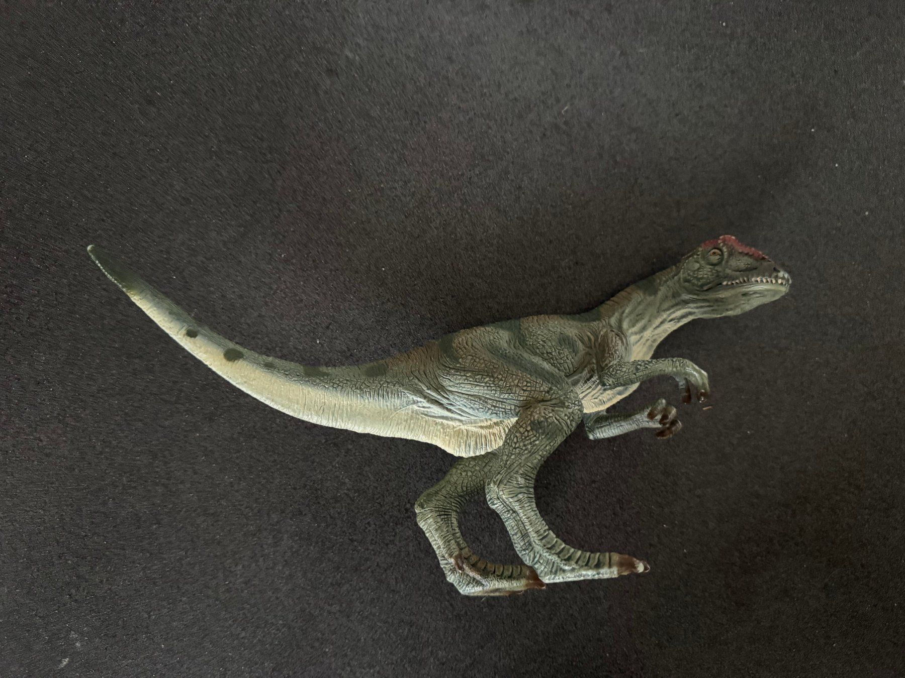 Schleich Statuette: Schleich ALLOSAURUS 2007 Dinosaurier – Usato da Fribourg venduto da tschjoly 4