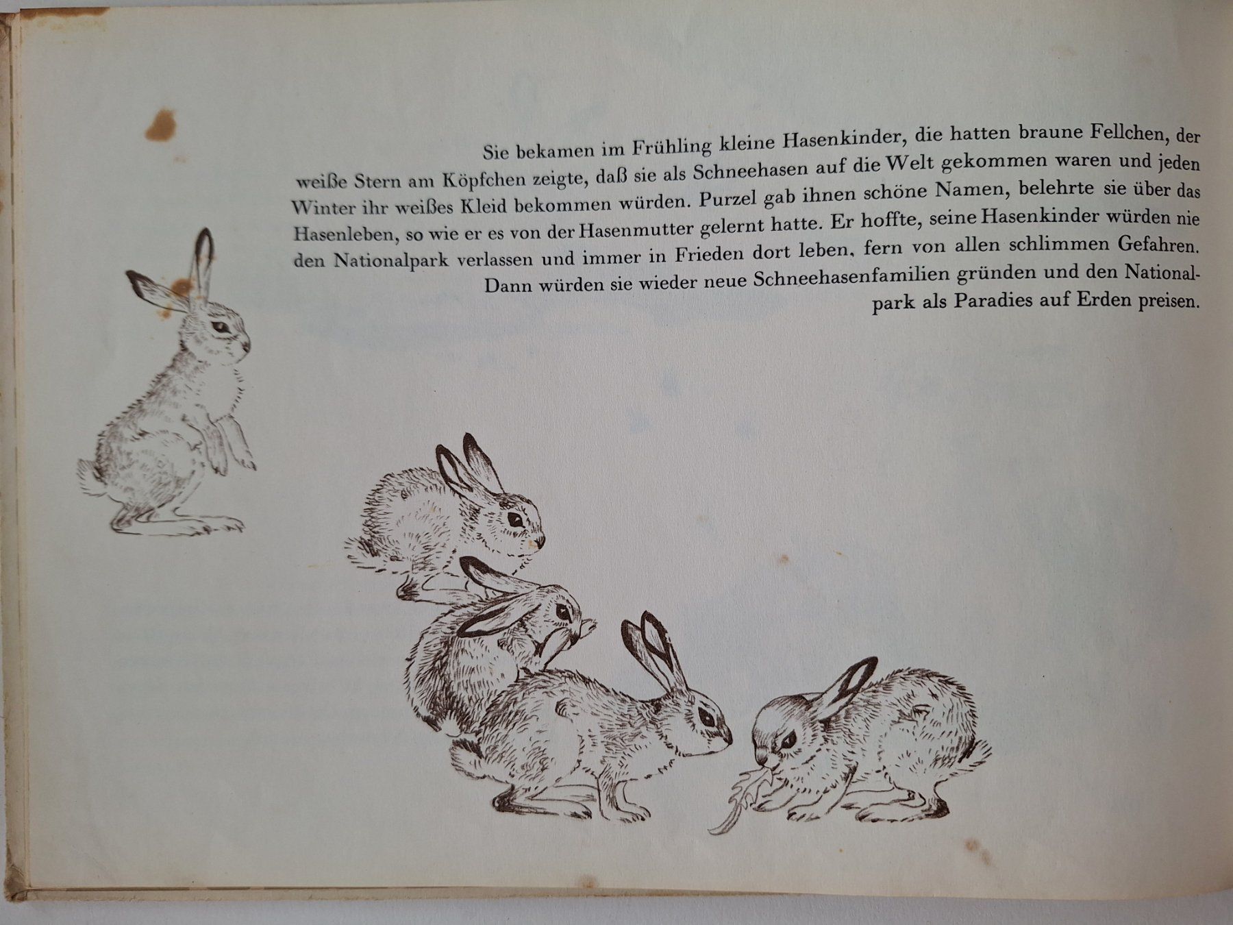 Livres: Purzel, Eine Hasengeschichte, Bea Verlag 1953 – D'occasion à Zürich par t24_de 3