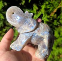 ✨ Mondstein Elefant mit Arusha-Sonnenstein ✨400g