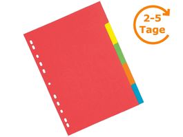 Karton-Register, DIN A4, 5-teilig, bunt