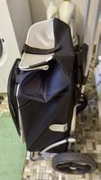 Royal Shopper Hydro 2.1, Kugellagerrad 25 cm 
