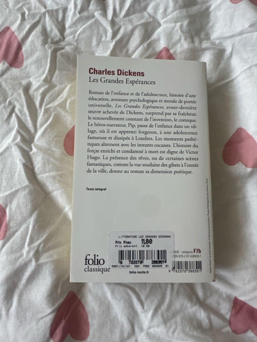 Bücher: Folio Classique: Les grandes espérances de Dickens – Neu (gemäss Beschreibung) aus Lausanne von pin_q6zj 1