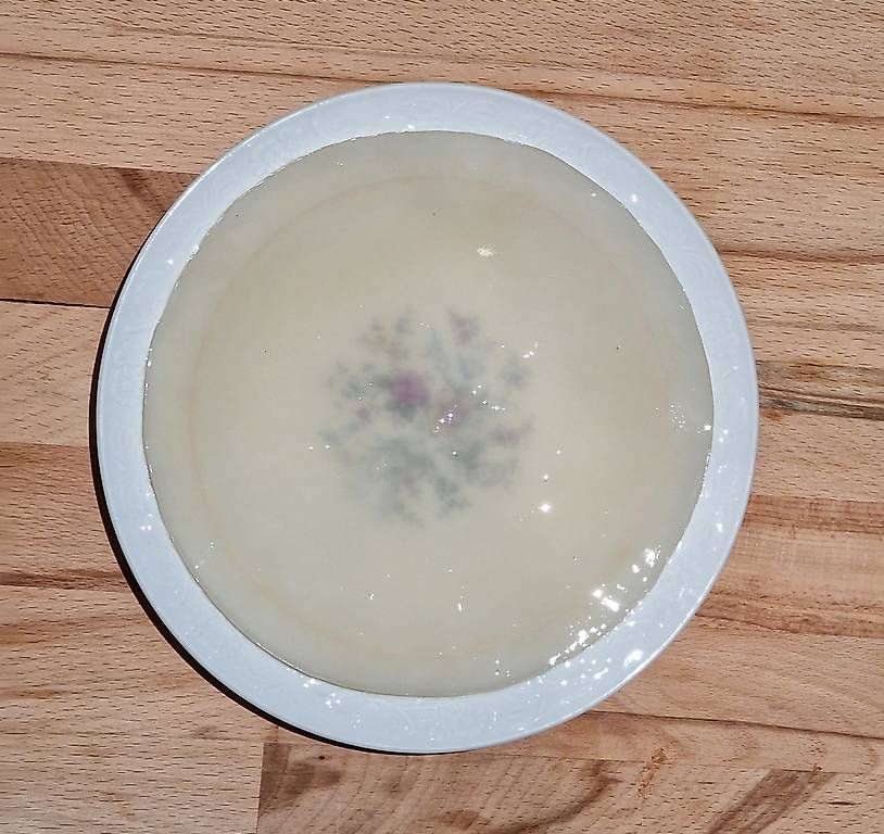 Cibi & Specialità: Riesig Kombucha SCOBY (Grüntee) – Usato da Zürich venduto da sdsp 2