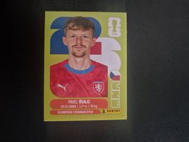 Panini WM 26 CZE 14