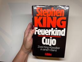 ROMAN: Stephen King, 2 Klassiker: Feuerkind, Cujo