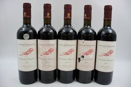 5x Emilio Primo Bolgheri Rosso 2023 (26061165Z)