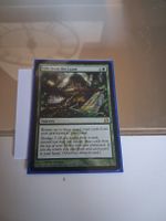 carte magic rare : life from the loam