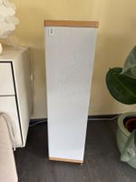 Verkaufe 2 Stck. Rowen S4 Standlautsprecher einschl. Kabel