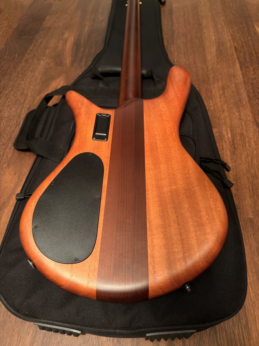 Strumenti musicali: Spector RST 4-String in Sienna Stain – Nuovo (secondo la descrizione) da Pfäffikon ZH venduto da roman-zuerich 3