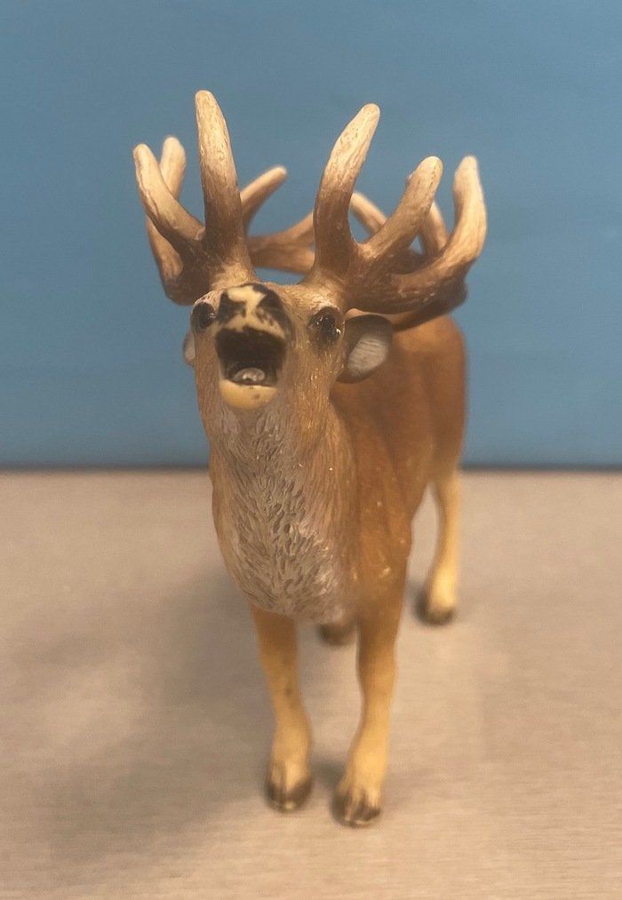 Schleich Spielzeuge: Schleich Hirsch – Gebraucht aus Sirnach von sagrotin 1