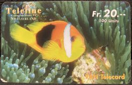 Teleline 