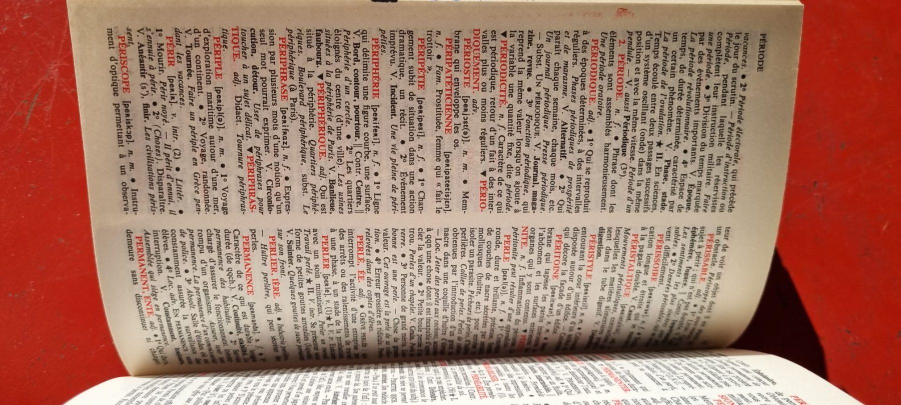 Libri: micro Robert - dictionnaire du français primordial – Usato da Spiegel b. Bern venduto da sus_xj97 2