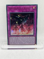 Yu-Gi-Oh! Dinomorphia-Raserei DIFO-DE077 Deutsch Ultra Rare