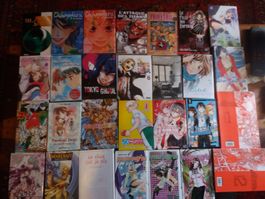 Lot de 28 Mangas divers