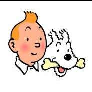 Profile image of tintin08