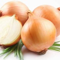 Ab 5.- fr 30 Samen der Goldenen Zwiebel = ALLIUM CEPA
