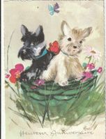Hund Katzenkarte