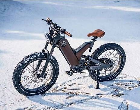 Velos: Elektrobike Antelope P5 750W 45Km/h – Gebraucht aus Hauptwil von Dragon-Import 2