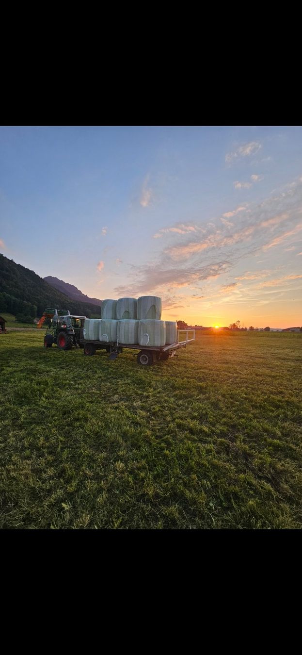 Rimorchi: Ballenwagen – Usato da Haslen GL venduto da dodikeller 4