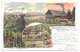 Winterthur (ZH) Eschenbergwald - Tierpark - Schlumpf-Litho