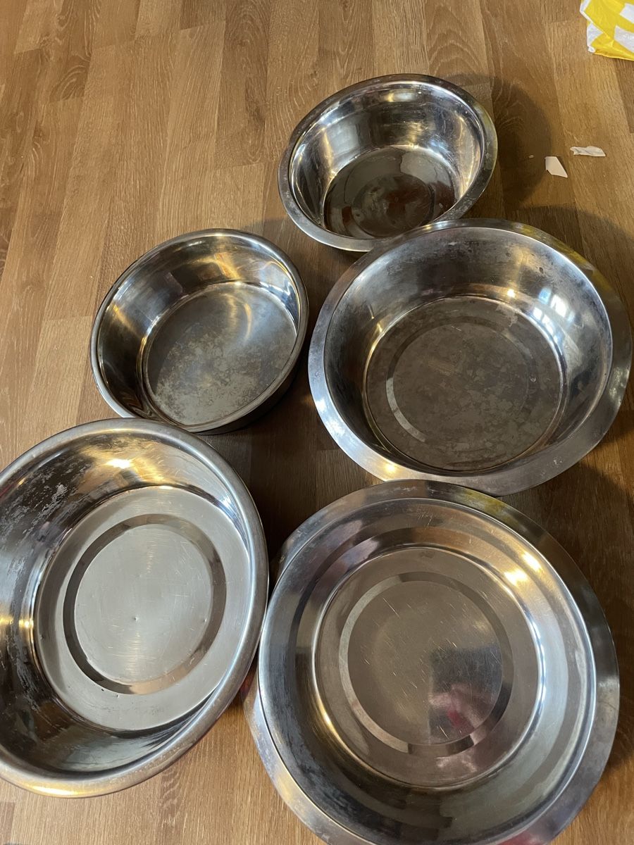 Ciotole: 5er Set Hunde Schüsseln – Usato da Hoffeld venduto da ElaneeRoth